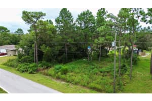 7358 CENTERWOOD AVENUE, SPRING HILL, FL 34606 Sold 10/24/24