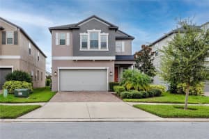 4093 CADENCE LOOP, LAND O LAKES, FL 34638 Sold 03/14/25