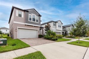 4093 CADENCE LOOP, LAND O LAKES, FL 34638 Sold 03/14/25