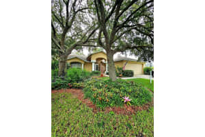 1434 FALLOWFIELD DRIVE, TRINITY, FL 34655 Sold 01/03/25