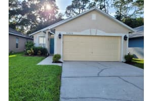 30228 BIRDHOUSE DRIVE, WESLEY CHAPEL, FL 33545 Sold 10/31/24