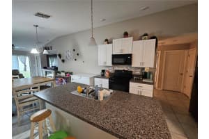 10212 WHITE LINEN AVENUE, RIVERVIEW, FL 33578 Sold 04/08/25