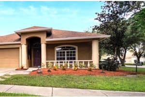 12739 STANDBRIDGE DRIVE, RIVERVIEW, FL 33579 - MLS#MFRTB8304038