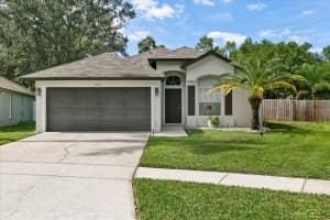 9733 Long Meadow Dr, TAMPA