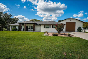 12517 RAWHIDE DRIVE, TAMPA, FL 33626 Sold 10/28/24