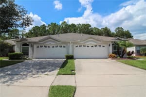 1647 SASSAFRAS DRIVE, WESLEY CHAPEL, FL 33543 Sold 01/07/25