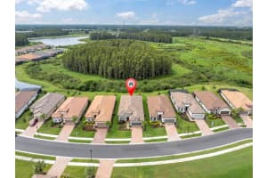 10727 CALLUNA DRIVE, ODESSA, FL 33556 Sold 02/14/25