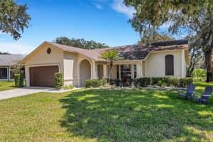 3538 PINE LAKE COURT, PALM HARBOR, FL 34684 Sold 11/22/24