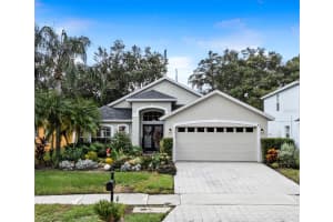 5219 ABBEY PARK AVENUE, TAMPA, FL 33647 Sold 10/23/24