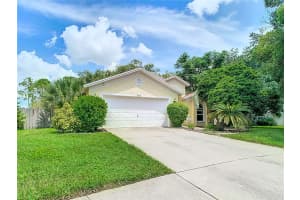 2016 LEICHESTER STREET, VALRICO, FL 33594 Sold 05/02/25