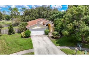 2016 LEICHESTER STREET, VALRICO, FL 33594 Sold 05/02/25