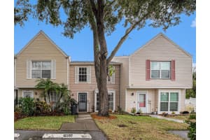 16337 RAMBLING VINE DRIVE, TAMPA, FL 33624 Sold 11/15/24