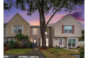 16337 RAMBLING VINE DRIVE, TAMPA, FL 33624 Sold 11/15/24