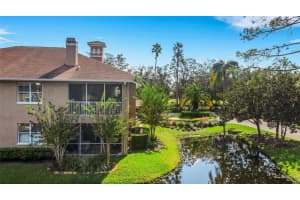 4251 PRESERVE PLACE, PALM HARBOR, FL 34685 - MLS#MFRTB8304406