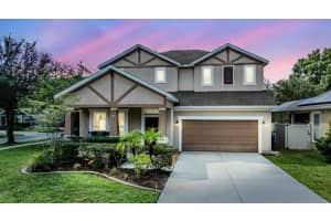 8221 NECTAR RIDGE COURT, ODESSA, FL 33556 Sold 03/28/25