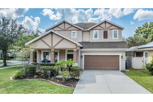 8221 NECTAR RIDGE COURT, ODESSA, FL 33556 Sold 03/28/25