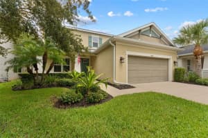 8831 TROPICAL PALM DRIVE, TAMPA, FL 33626 Sold 01/31/25