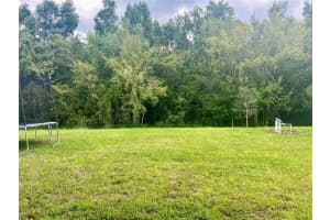 2815 CORDOBA RANCH BOULEVARD, LUTZ, FL 33559 Sold 12/23/24