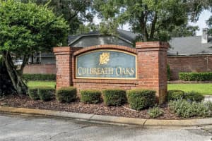 12802 WALLINGFORD DRIVE, TAMPA, FL 33624 Sold 02/27/25