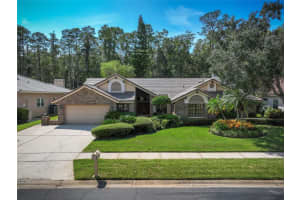 50 GREENHAVEN TRAIL, OLDSMAR, FL 34677 Sold 02/14/25