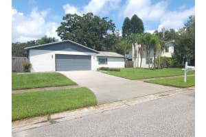 4313 FOXGLEN LANE, TAMPA, FL 33624 Sold 01/07/25
