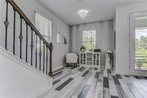 11927 RUDDY RUN, ODESSA, FL 33556 Sold 12/03/24