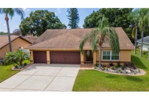 12915 ASTORWOOD PLACE, RIVERVIEW, FL 33579 Sold 02/05/25