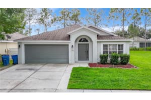 14954 RED BLOOM PLACE, BROOKSVILLE, FL 34604 Sold 02/12/25