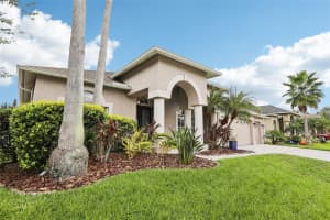 10015 OXFORD CHAPEL DRIVE, TAMPA, FL 33647 Sold 12/16/24