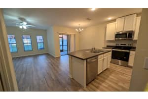 1040 TULLAMORE DRIVE, WESLEY CHAPEL, FL 33543 Sold 10/23/24