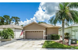 8048 SANGUINELLI ROAD, LAND O LAKES, FL 34637 Sold 01/29/25