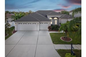 1801 PINK GUARA COURT, TRINITY, FL 34655 Sold 11/01/24