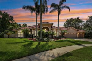 16001 LANGHORNE COURT, TAMPA, FL 33647 Sold 12/16/24