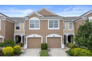 10152 PINK PALMATA COURT, RIVERVIEW, FL 33578 Sold 03/05/25
