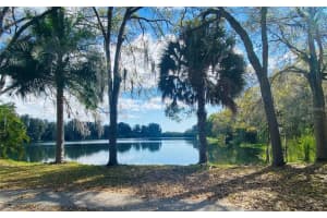 2400 Pine Hammock, CLEARWATER