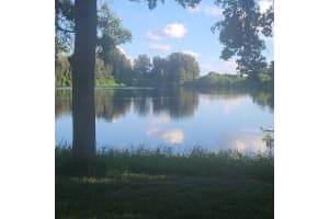 2400 PINE HAMMOCK, CLEARWATER, FL 33764 - MLS#MFRTB8305192