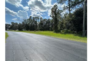 8319 SPRING FOREST LANE, WESLEY CHAPEL, FL 33544 Sold 10/24/24