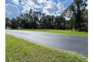 8319 SPRING FOREST LANE, WESLEY CHAPEL, FL 33544 Sold 10/24/24
