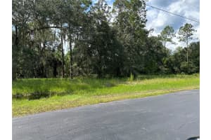 8319 SPRING FOREST LANE, WESLEY CHAPEL, FL 33544 Sold 10/24/24