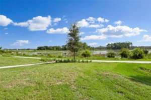 8898 GALLANTREE PLACE, LAND O LAKES, FL 34637 Sold 02/06/25