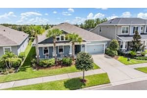 4302 EPIC COVE, LAND O LAKES, FL 34638 Sold 12/20/24