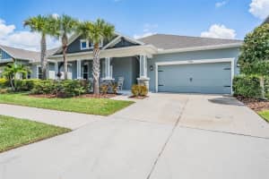4302 EPIC COVE, LAND O LAKES, FL 34638 Sold 12/20/24