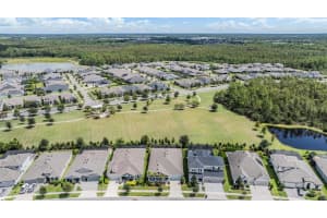 4302 EPIC COVE, LAND O LAKES, FL 34638 Sold 12/20/24