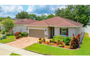 3235 MACINTOSH ROAD, LAND O LAKES, FL 34639 Sold 12/13/24
