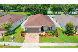 3235 MACINTOSH ROAD, LAND O LAKES, FL 34639 Sold 12/13/24