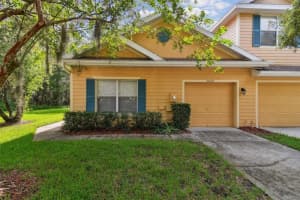 20217 VINTAGE OAKS PLACE, TAMPA, FL 33647 Sold 12/09/24