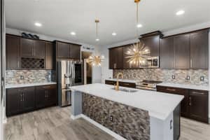 18854 BEAUTYBERRY COURT, LUTZ, FL 33558 Sold 12/31/24