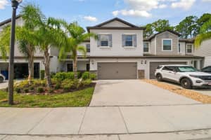 1333 WHITE FOX RUN, LUTZ, FL 33549 Sold 03/18/25