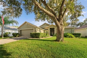 2209 ALLWOOD AVENUE, VALRICO, FL 33596 Sold 03/05/25