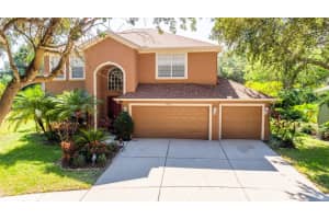 12530 BURGESS HILL DRIVE, RIVERVIEW, FL 33579 Sold 12/17/24